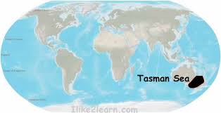 tasman