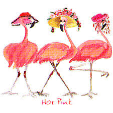 flamingo t shirts