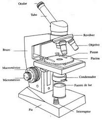 dibujo de microscopio