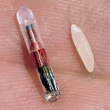 microchip pic