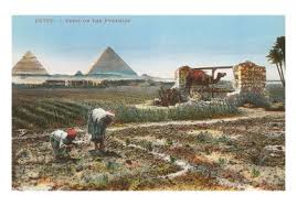 egypt posters