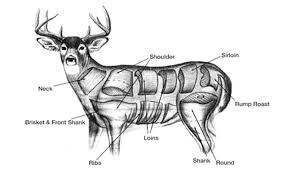 deer meat