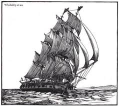 essex whale ship