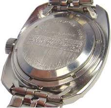 amphibia watches