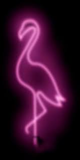 flamingo neon light