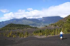 la palma