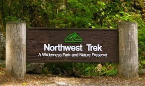 nw trek