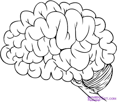 brain coloring