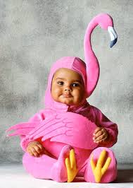 baby flamingo costume