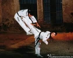 بعض الصور لرياضة التايكوندو Taekwondo_2
