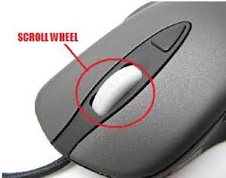 scroll wheel mouse