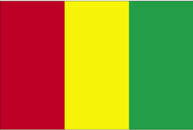 drapeau de la guinee