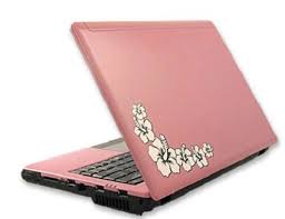 pink apple laptops