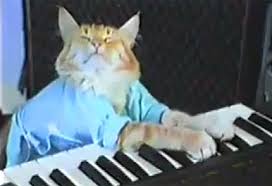 keyboard cat