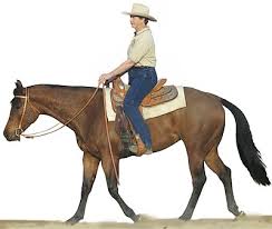 western horse riding