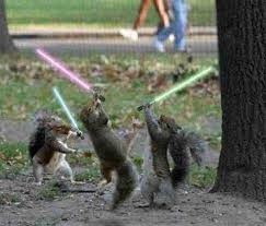 Nuts!