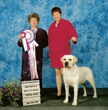 best in show