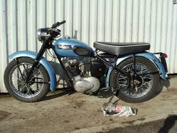 tiger cub triumph