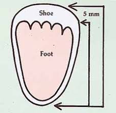 shoe measure