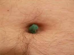 belly navel