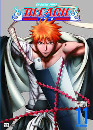 bleach volume 6