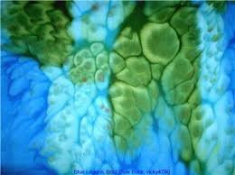 paint silk