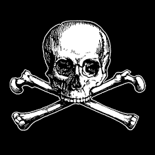 skull and crossbones shirt
