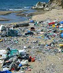 coastal pollution