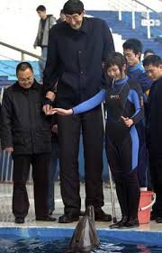 tallest