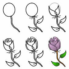 how to draw rose
