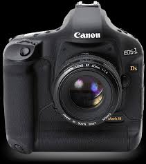 eos 1ds mark