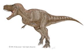 tyrannosaurus rex image