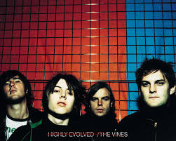 the vines