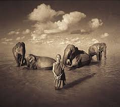 gregory colbert