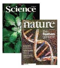 impact factor 2008