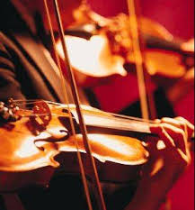 violins