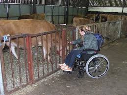 wheelchair access
