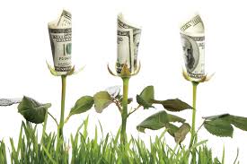 money grow