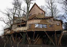 http://t0.gstatic.com/images?q=tbn:pfFwfCwcIVzZzM%3Ahttp://static.howstuffworks.com/gif/treehouse-6.jpg