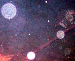 orbs