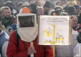 abeille en danger