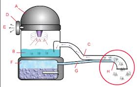 vacuum cleaner water