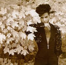 Prince - 2004-02-15: The Fillmore, San Francisco, CA, USA (disc 2)