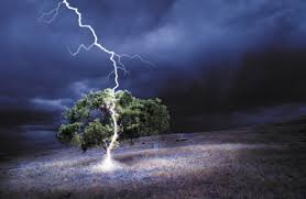 lightning striking a tree