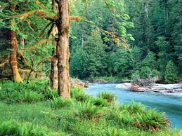 fonds d ecran paysages