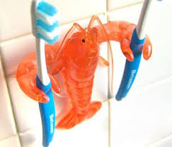 toothbrush pics