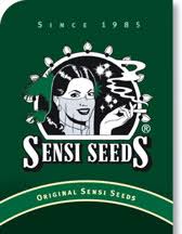 sensi seed