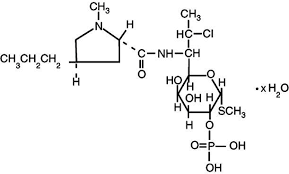 clindamycin phosphate