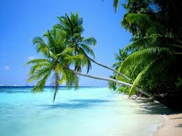 fonds d ecran paysages
