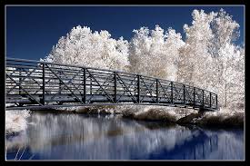 color infrared